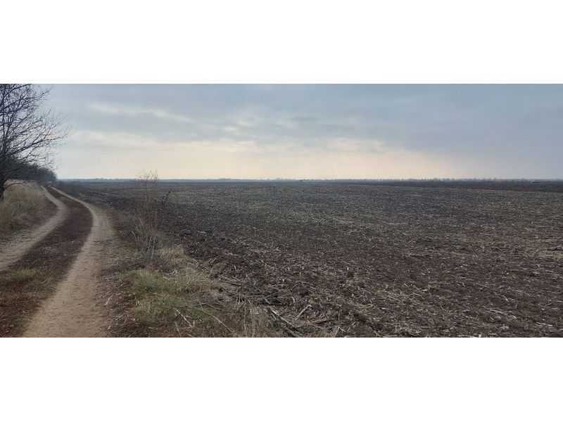 Продажа участка для личного сельского хозяйства 535.93 соток, Нова