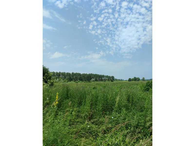 Продаж ділянки для особистого сільського господарства 2152.23 соток, Нова