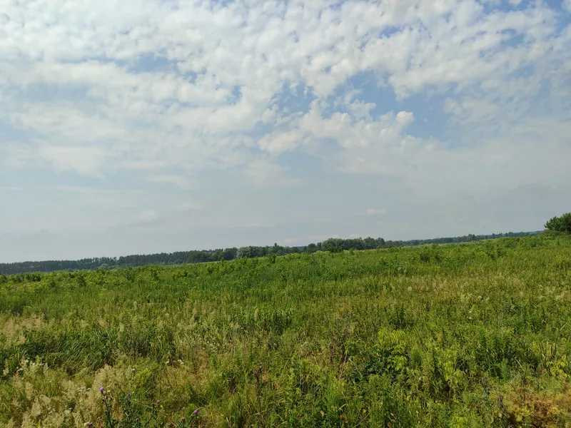 Продаж ділянки для особистого сільського господарства 2152.23 соток, Нова