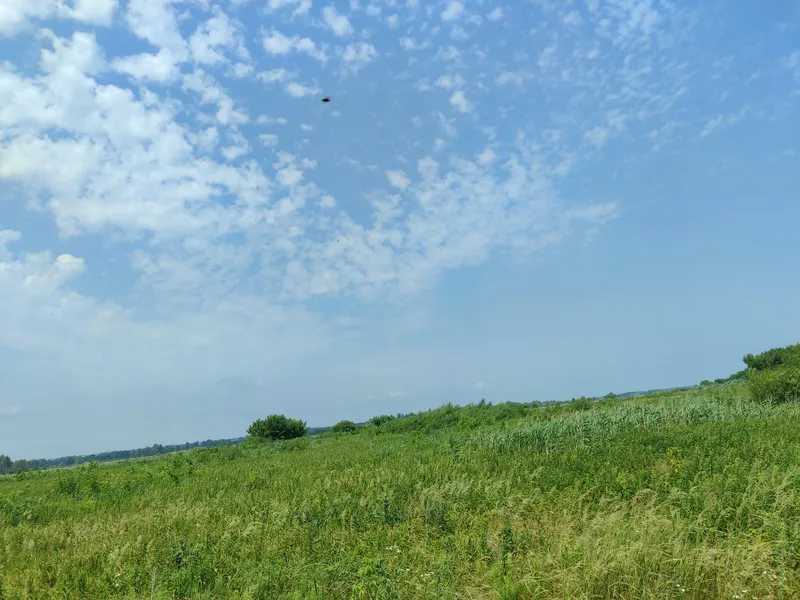 Продаж ділянки для особистого сільського господарства 2152.23 соток, Нова