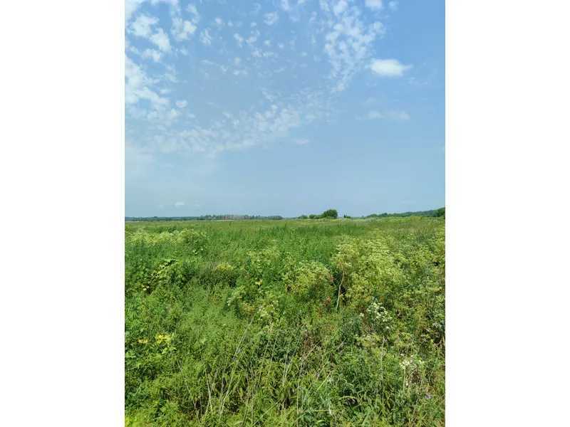 Продаж ділянки для особистого сільського господарства 2152.23 соток, Нова