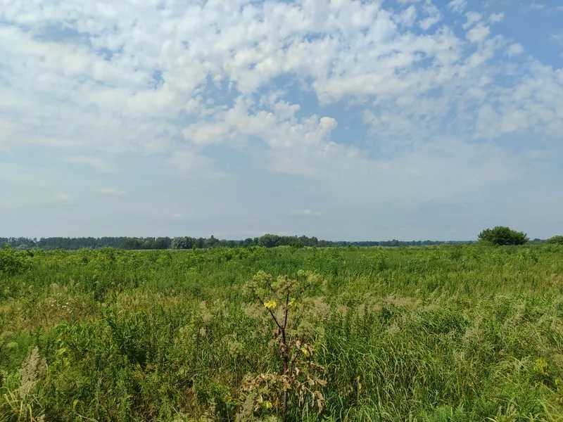 Продаж ділянки для особистого сільського господарства 2152.23 соток, Нова