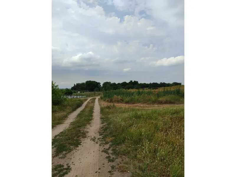 Продажа участка для личного сельского хозяйства 1519.95 соток, Нова