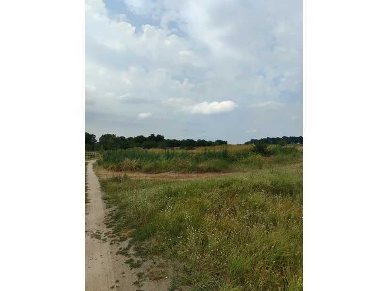 Продажа участка для личного сельского хозяйства 1519.95 соток, Нова