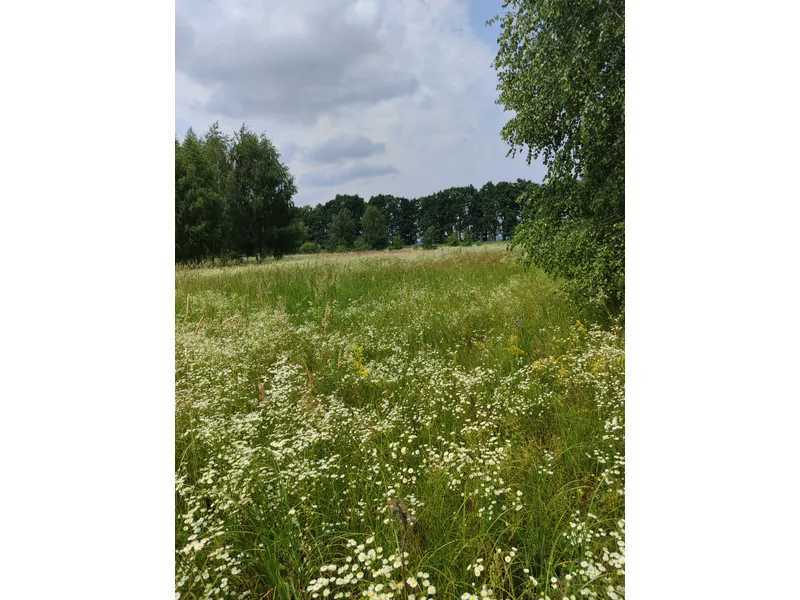 Продажа участка для личного сельского хозяйства 1446.95 соток, Нова