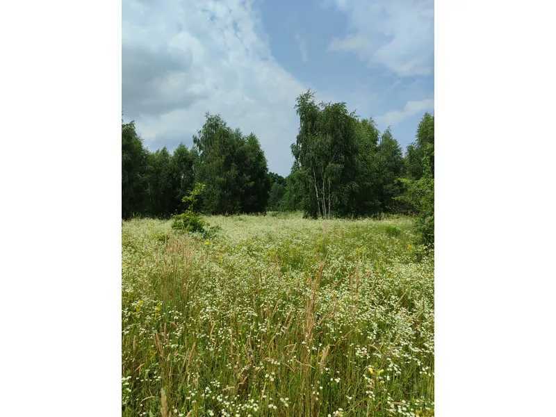 Продажа участка для личного сельского хозяйства 1446.95 соток, Нова