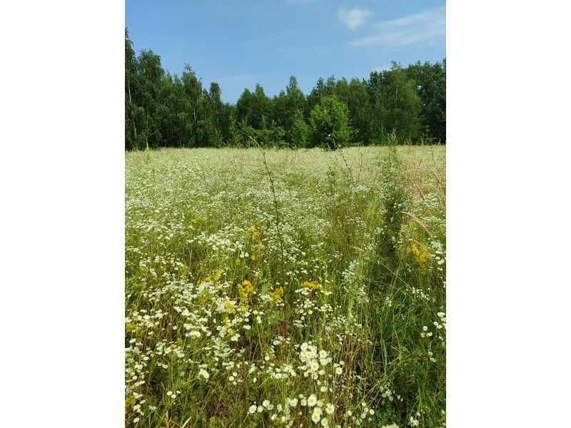 Продажа участка для личного сельского хозяйства 1446.95 соток, Нова