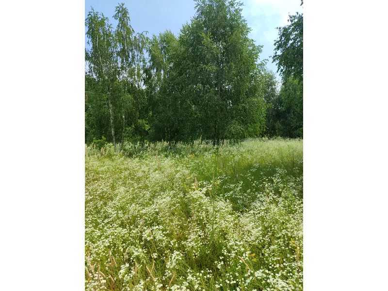 Продажа участка для личного сельского хозяйства 1446.95 соток, Нова