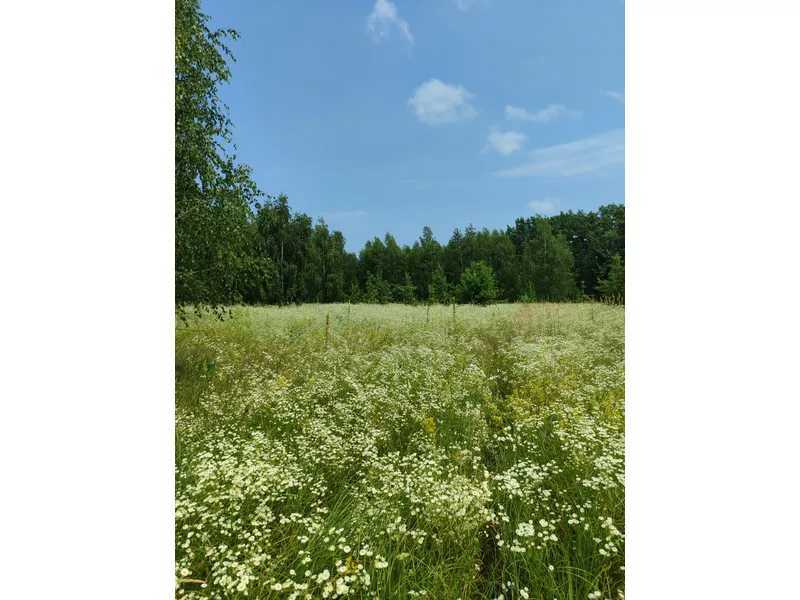 Продажа участка для личного сельского хозяйства 1446.95 соток, Нова