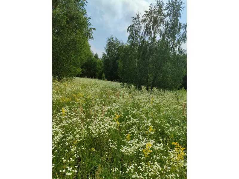 Продажа участка для личного сельского хозяйства 1446.95 соток, Нова