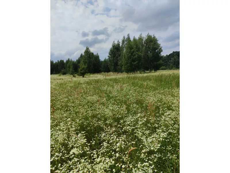 Продажа участка для личного сельского хозяйства 1446.95 соток, Нова