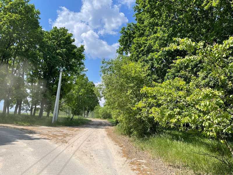 Продаж ділянки для особистого сільського господарства 38.71 соток, Нова