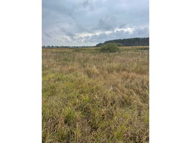 Продажа участка для личного сельского хозяйства 167.12 соток, Нова