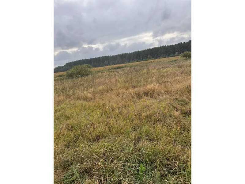 Продажа участка для личного сельского хозяйства 167.12 соток, Нова