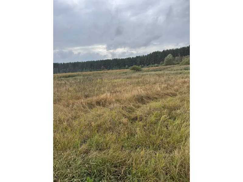 Продажа участка для личного сельского хозяйства 167.12 соток, Нова