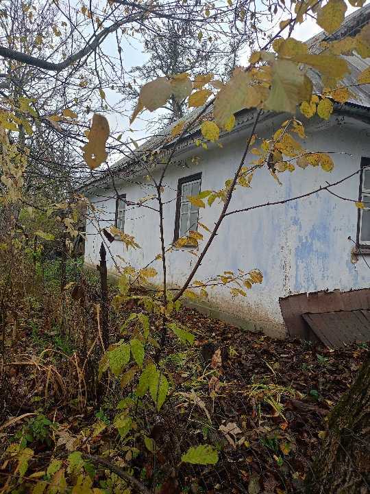 Продажа дома 55.8 м², 26