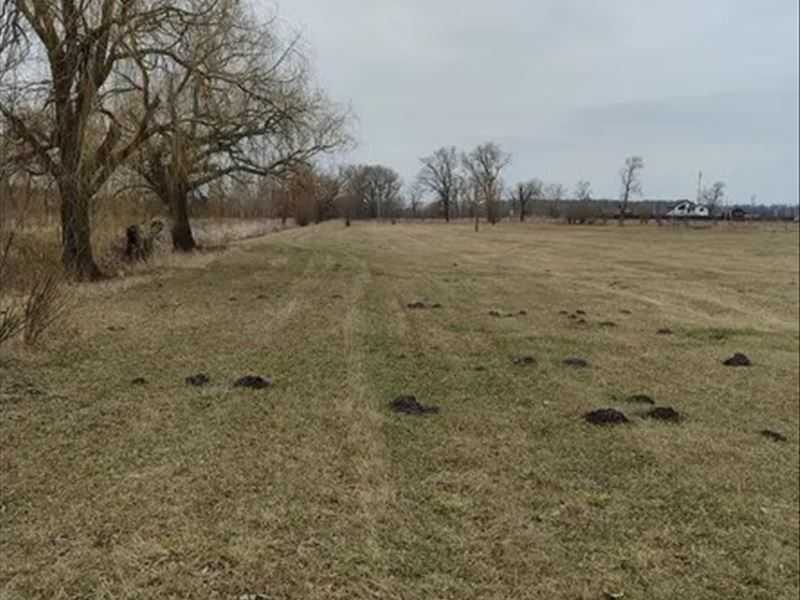 Продажа участка для личного сельского хозяйства 200 соток, нова