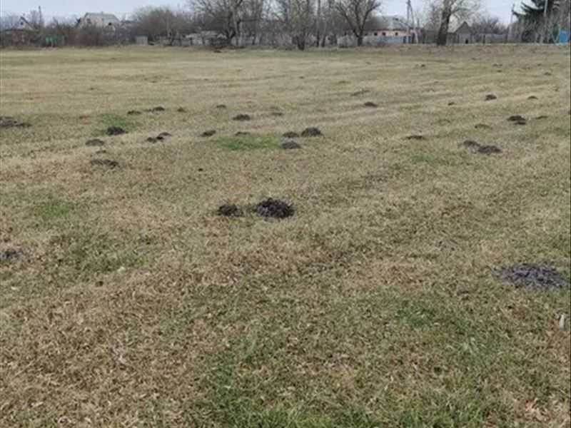 Продажа участка для личного сельского хозяйства 200 соток, нова