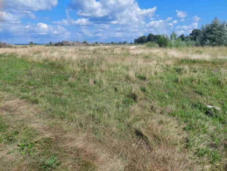 Продажа участка для личного сельского хозяйства 6232 соток, Зазімська с/р