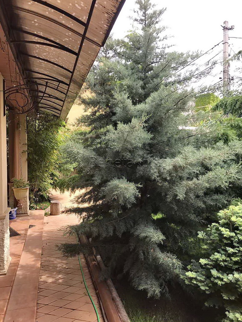 Аренда дома 250 м², Фонтанская дор., 76