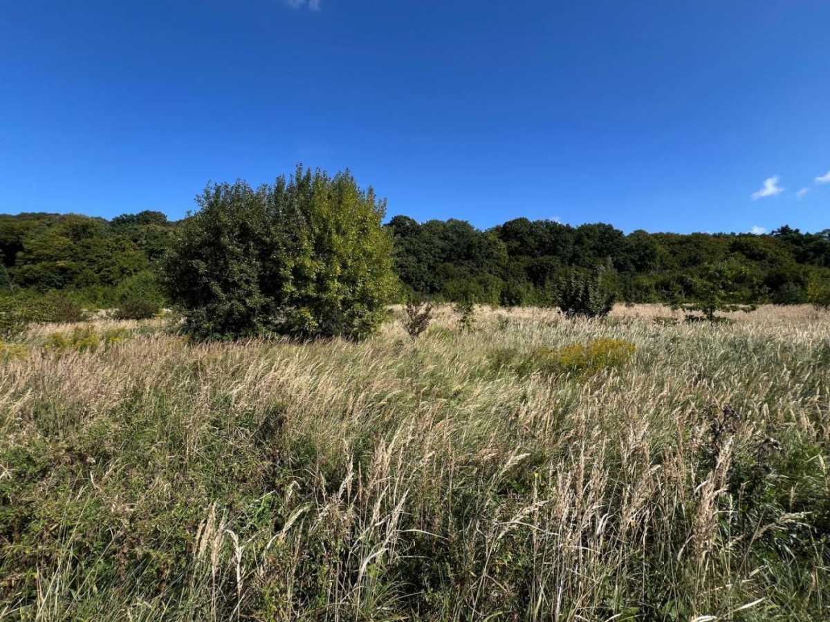 Продажа участка под индивидуальное жилое строительство 72 соток, Дубовий Гай