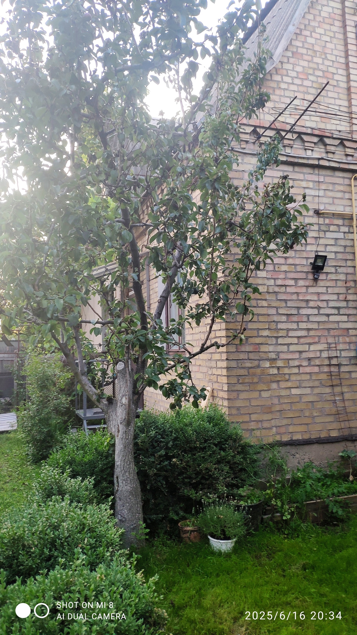 Оренда будинку 45 м², Полтавська вул.