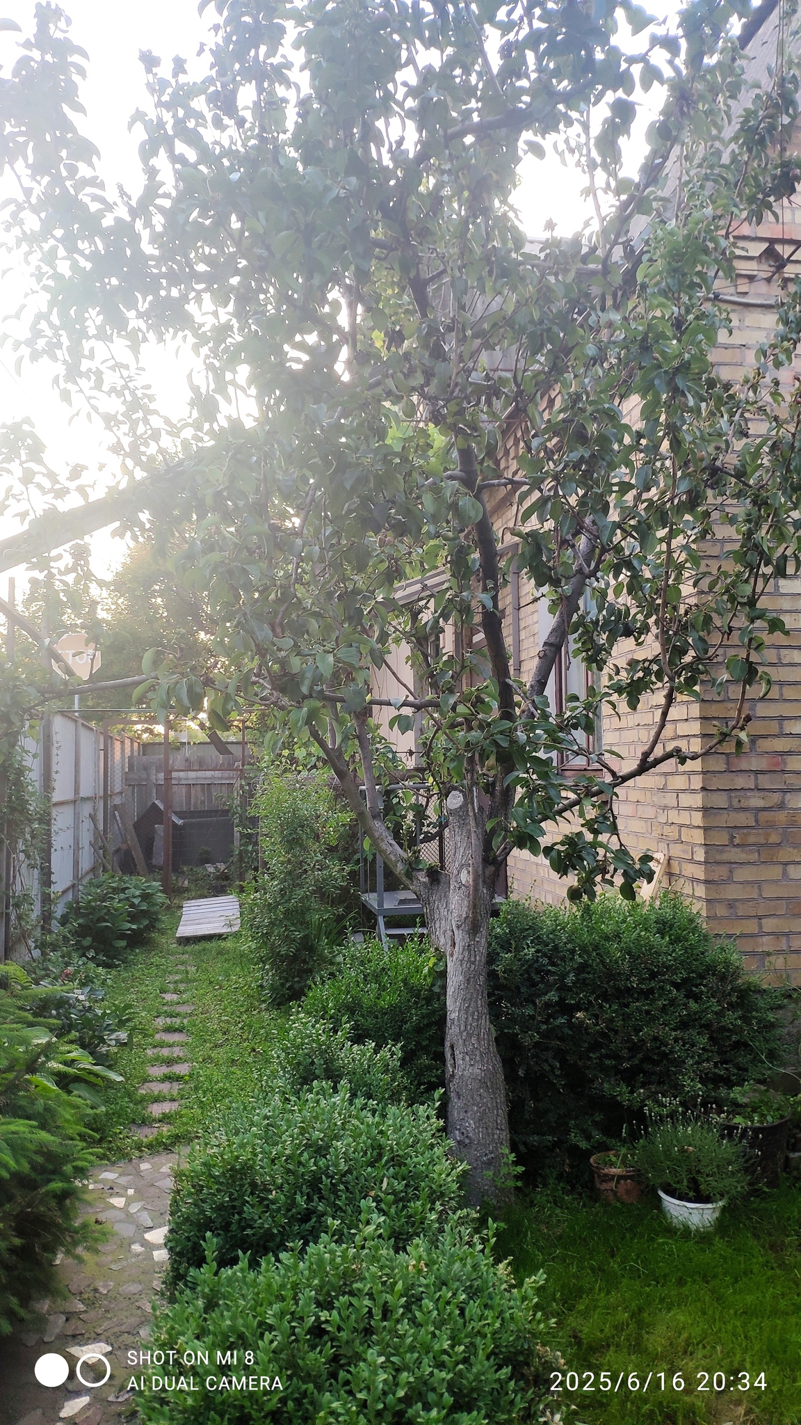 Оренда будинку 45 м², Полтавська вул.