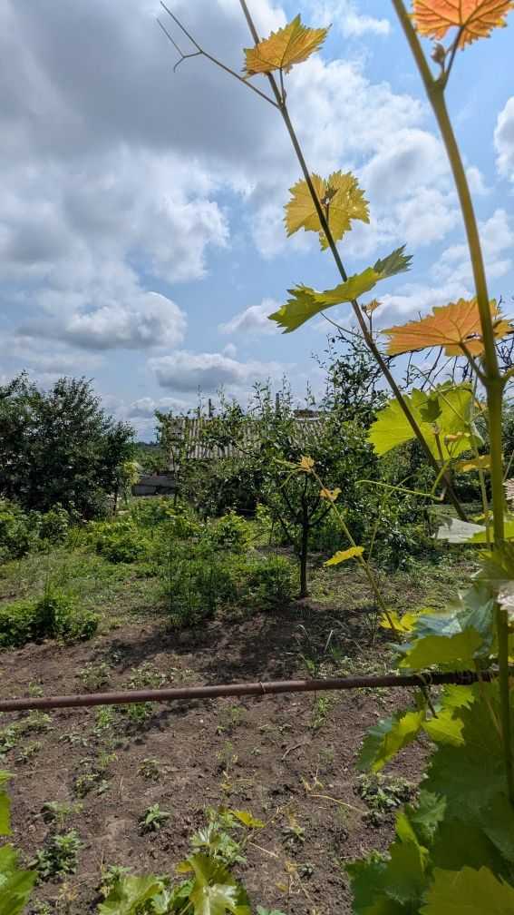 Продажа дома 80 м², Ивана Франко ул.