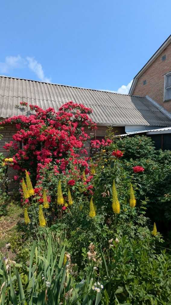 Продажа дома 80 м², Ивана Франко ул.