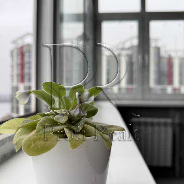 Продаж 3-кімнатної квартири 99 м², Микільсько-Слобідська вул., 15