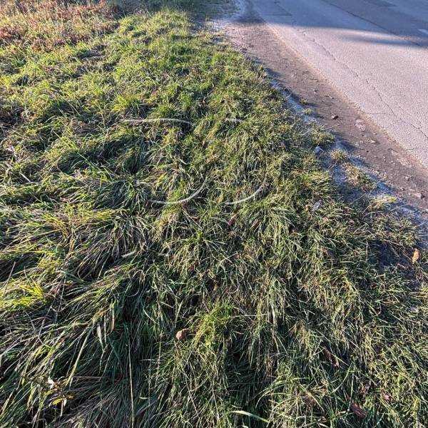 Продажа участка под индивидуальное жилое строительство 0.08 соток, Курганная ул.