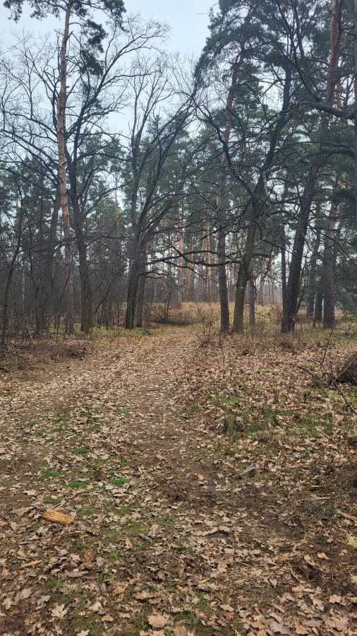 Продажа участка под индивидуальное жилое строительство 40.5 соток, Гоголя ул.