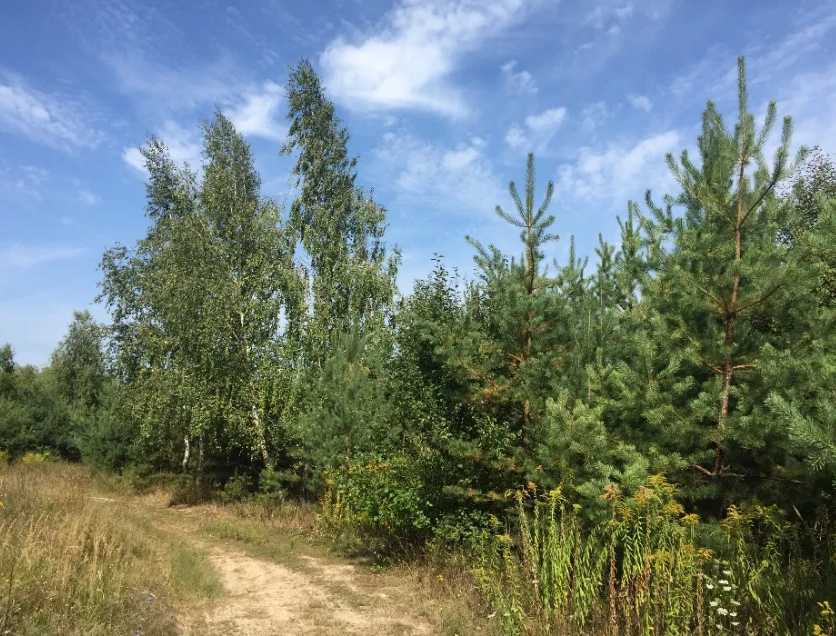 Продажа участка под индивидуальное жилое строительство 15 соток, Звенигородська