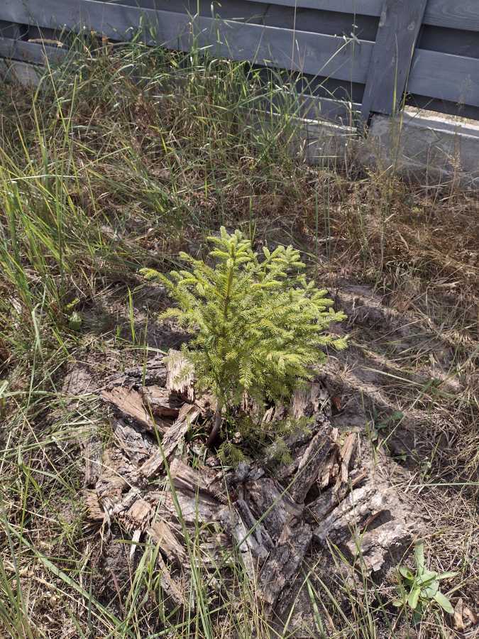 Продаж будинку 125 м², Льва Симиренка