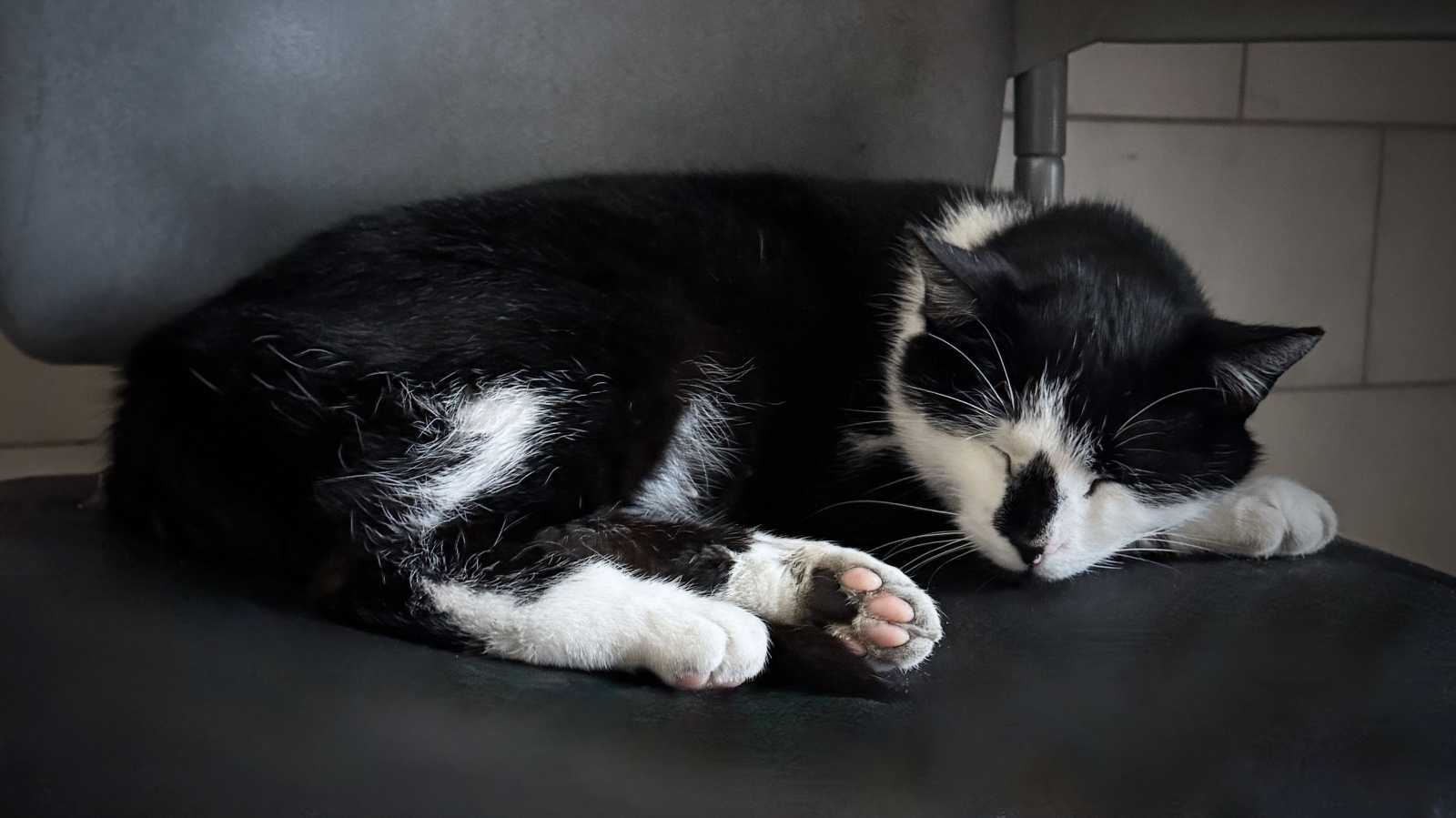 Продажа 1-комнатной квартиры 49 м², Обуховская ул., 139