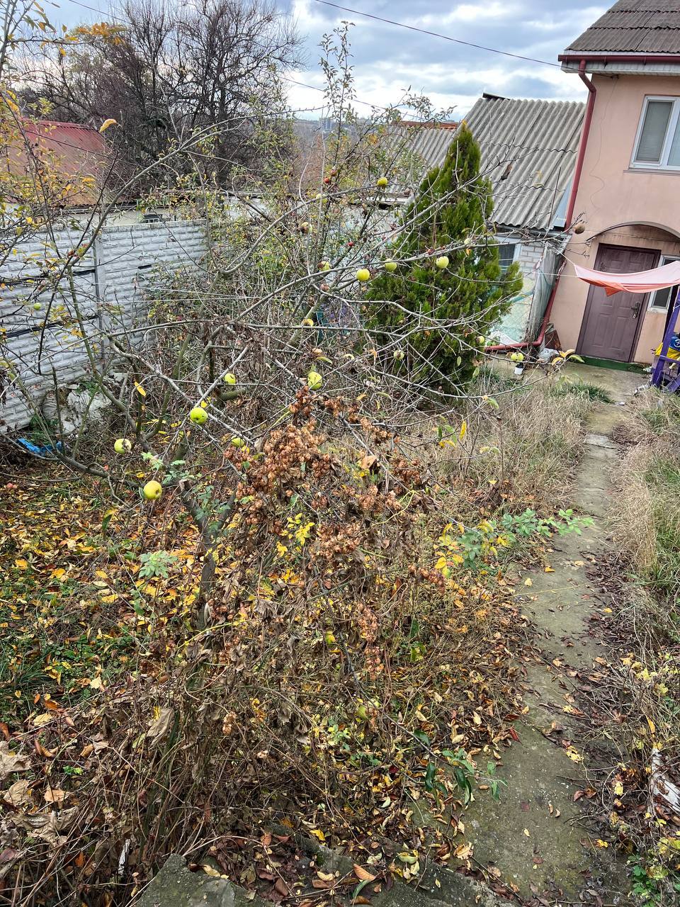 Аренда дома 50 м², Сирко ул.