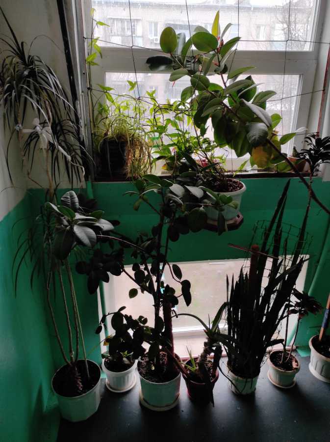 Продаж 2-кімнатної квартири 46 м², Данила Галицького вул., 18