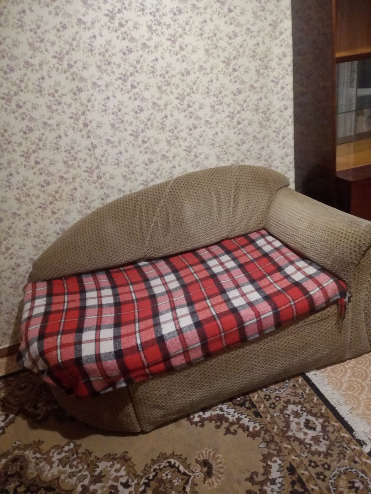 Аренда 1-комнатной квартиры 29 м², Академика Грекова ул., 3/2