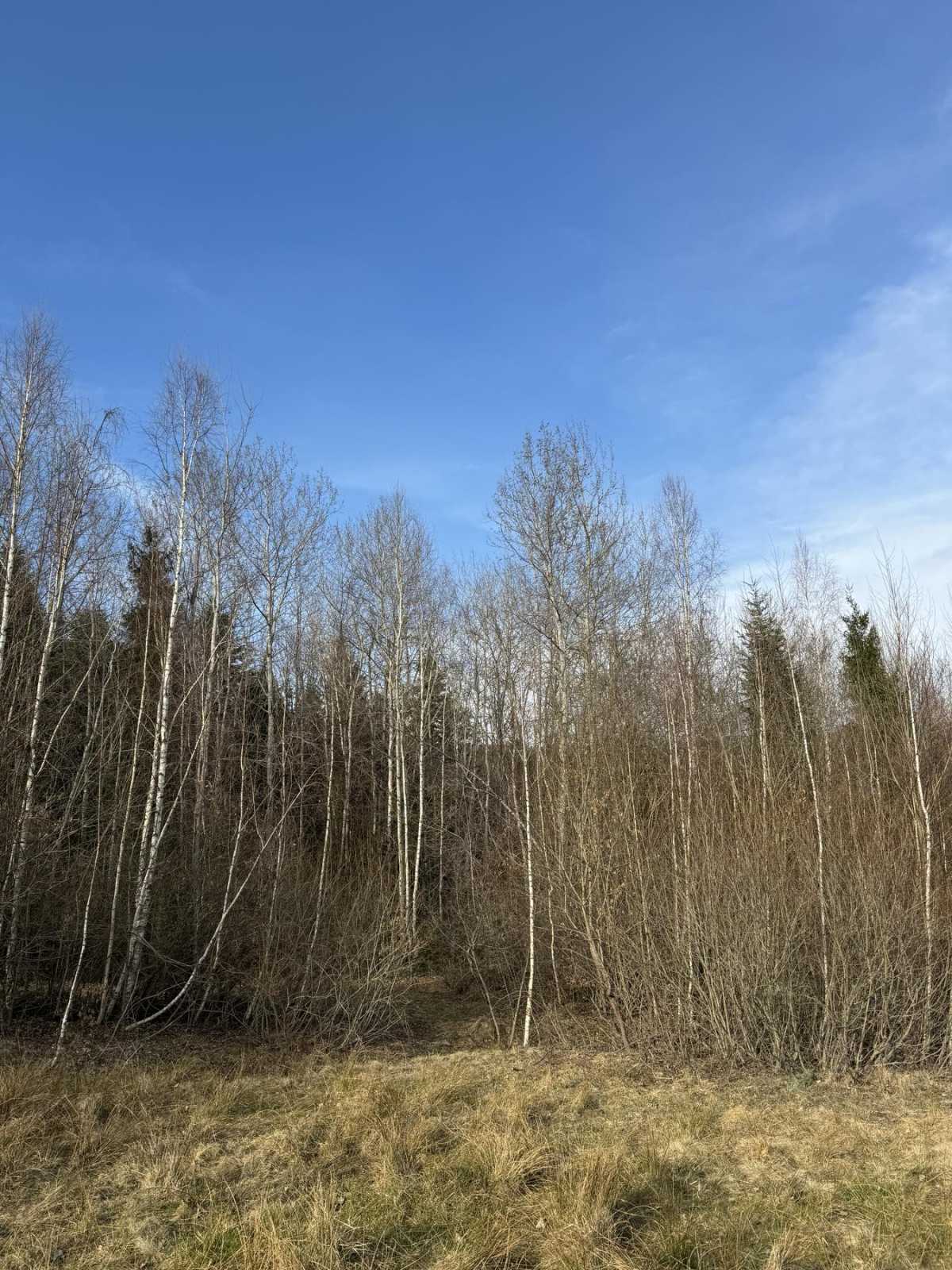 Продажа участка под индивидуальное жилое строительство 17 соток