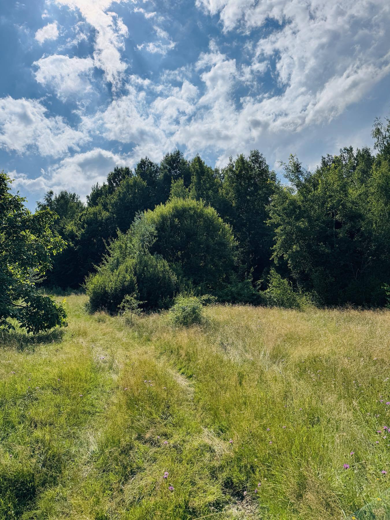 Продажа участка под индивидуальное жилое строительство 17 соток