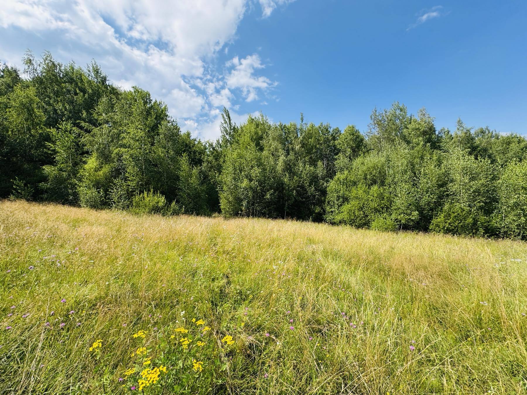 Продажа участка под индивидуальное жилое строительство 17 соток