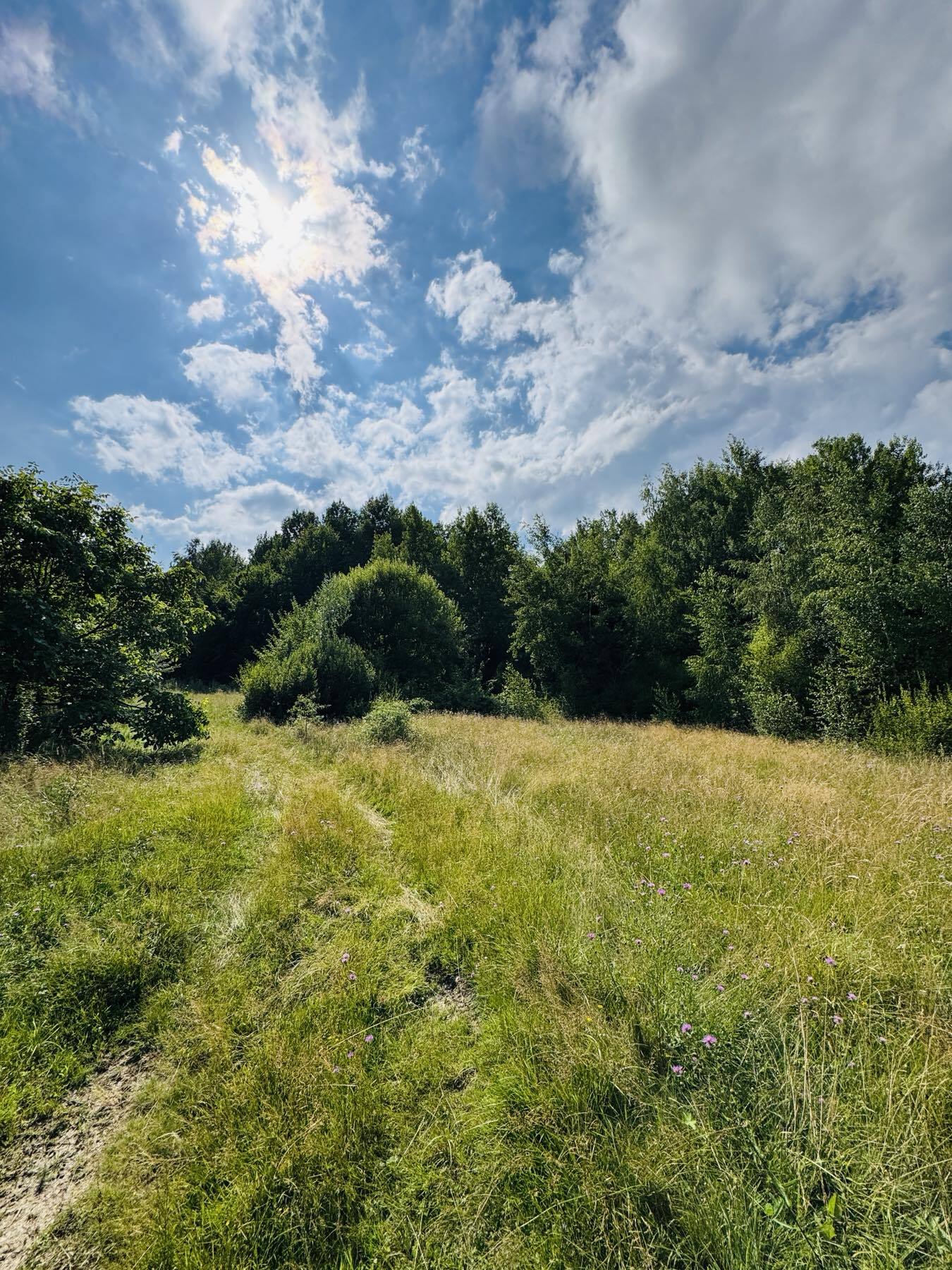 Продажа участка под индивидуальное жилое строительство 17 соток