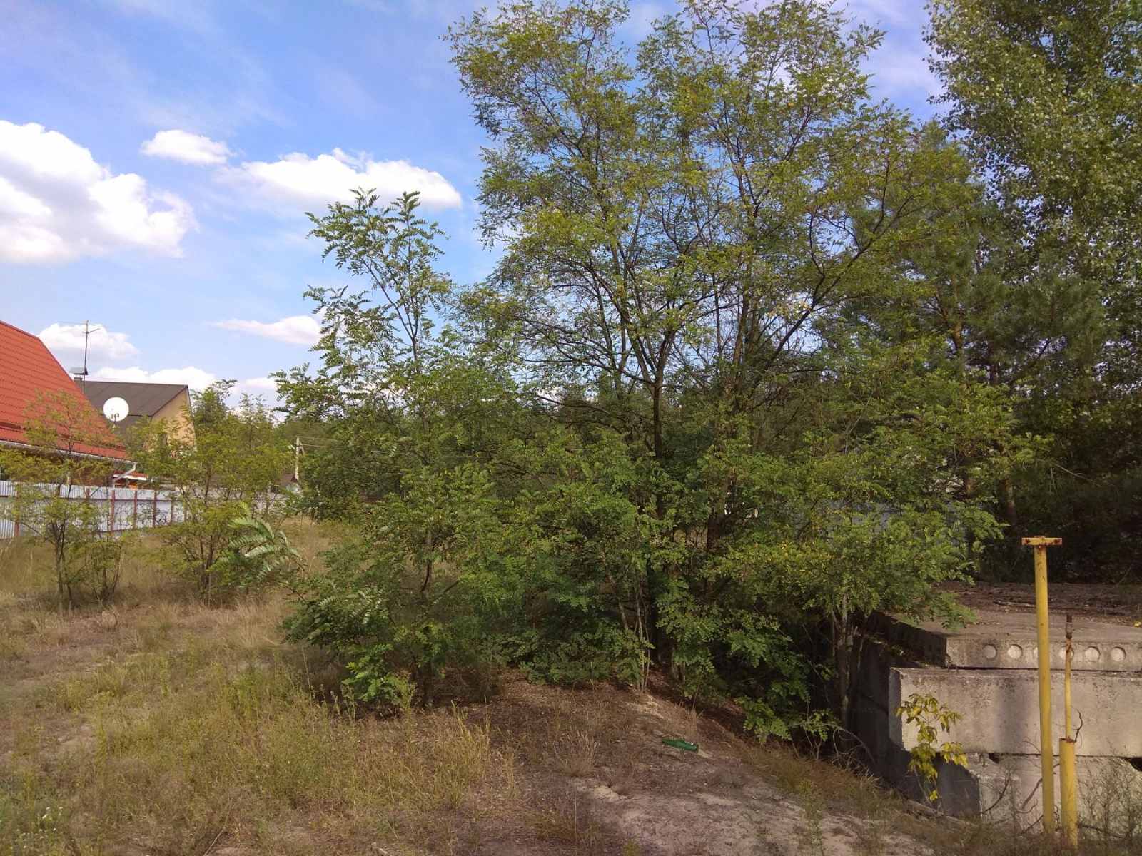 Продаж ділянки під рослинництво 10 соток