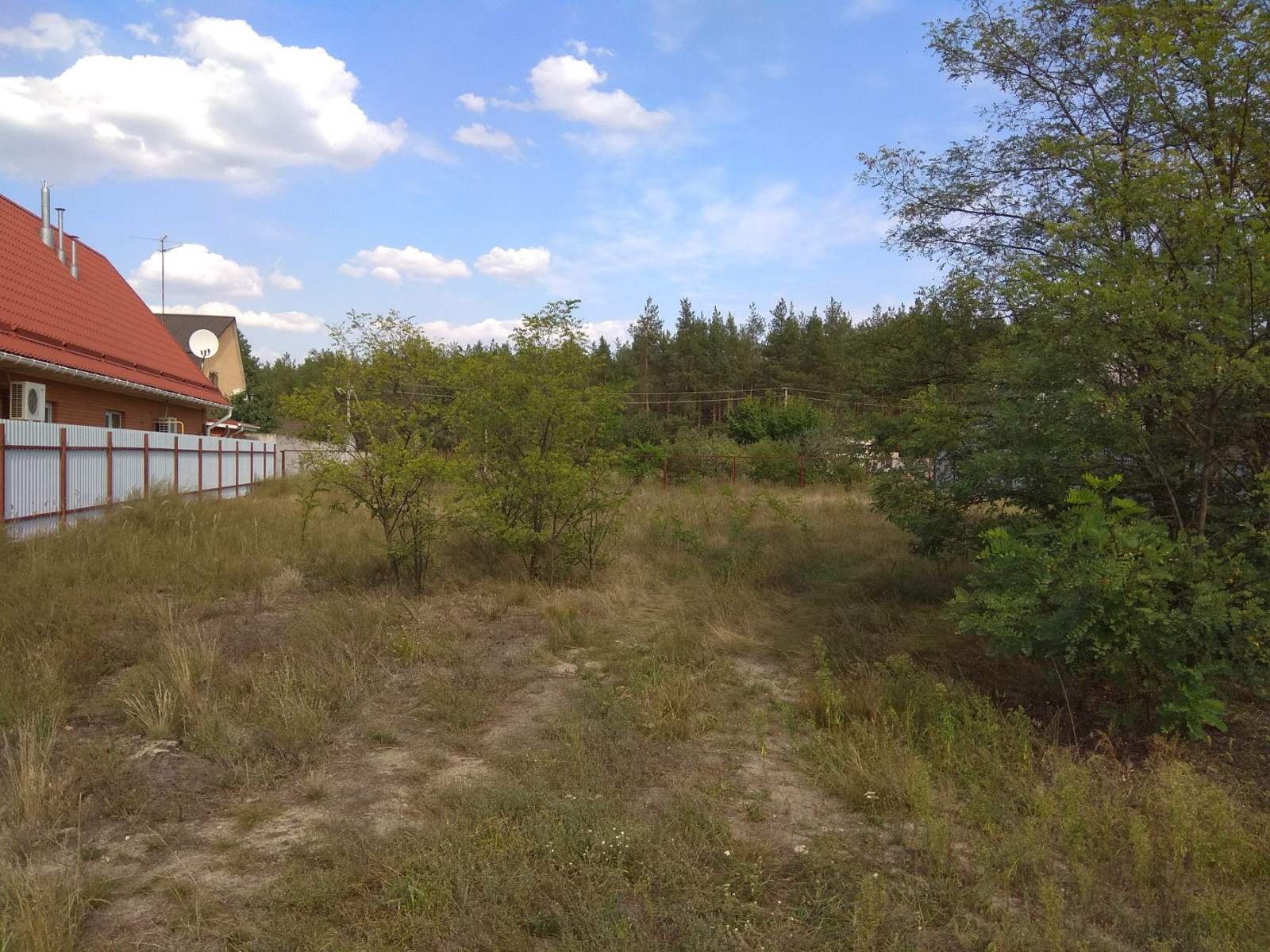 Продаж ділянки під рослинництво 10 соток