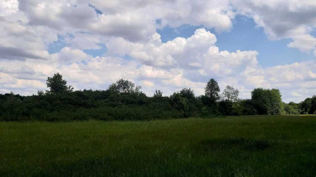 Продаж ділянки для особистого сільського господарства 200 соток