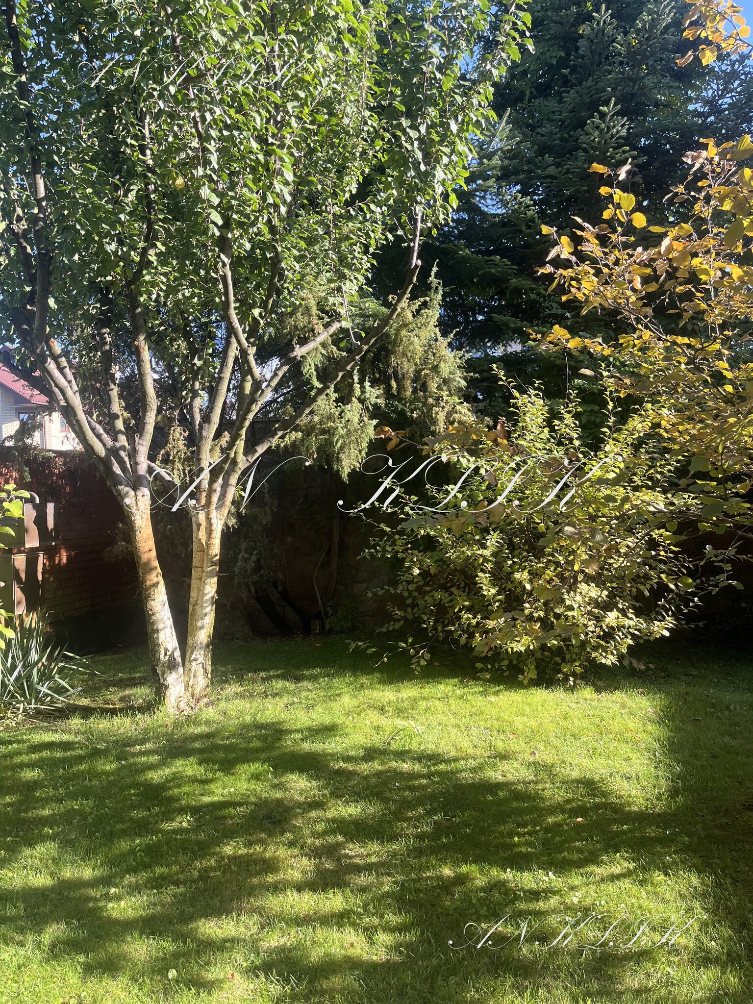 Аренда коттеджа 95 м², Евгения Харченко ул.