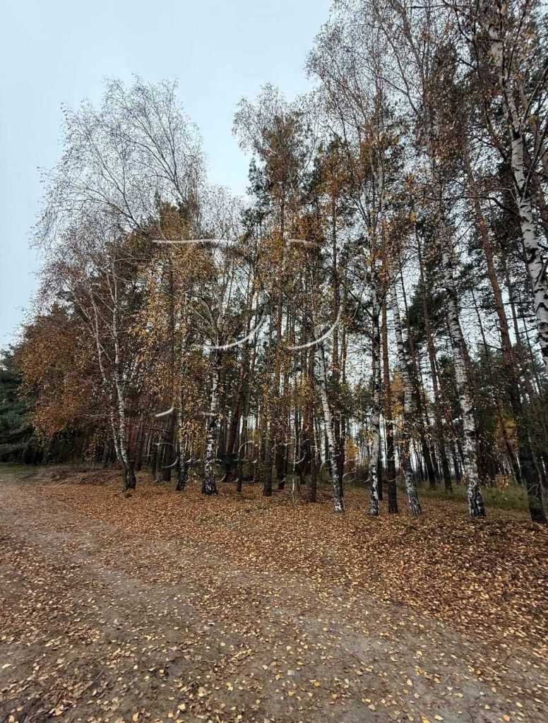 Продаж ділянки під індивідуальне житлове будівництво 12 соток, СТ Вишеньки