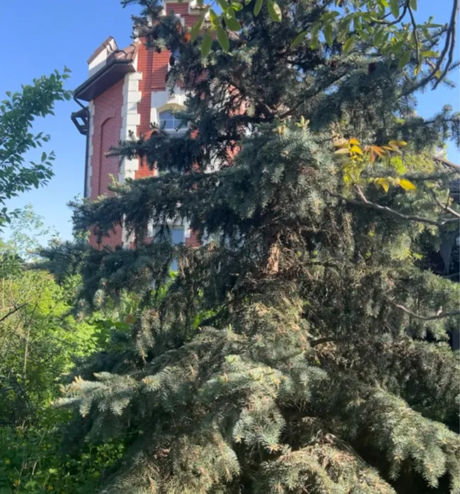 Аренда дома 300 м², Евгения Харченко ул.