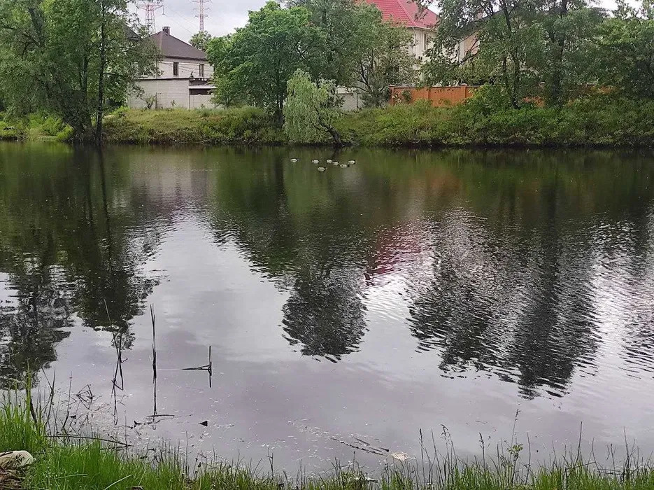 Аренда коттеджа 200 м², 52-я Садовая ул.