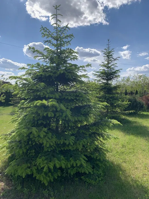 Аренда дома 180 м²